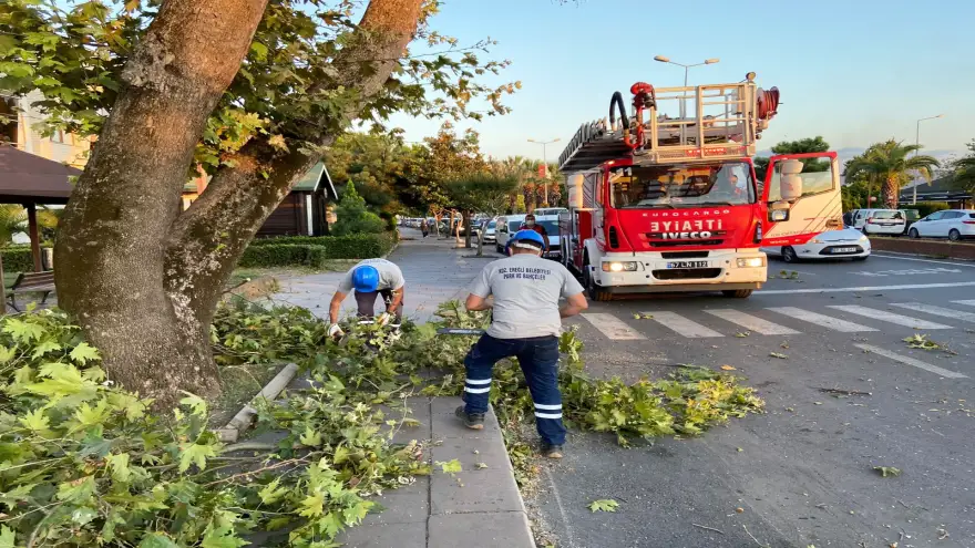 Kdz. Ereğli Belediyesi, fırtınaya karşı teyakkuzda!