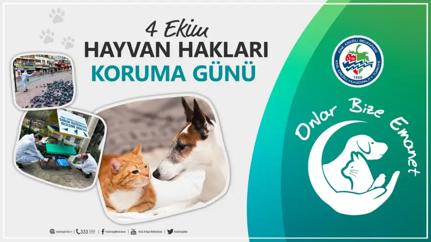 Bugün 4 Ekim Hayvanları Koruma Günü!