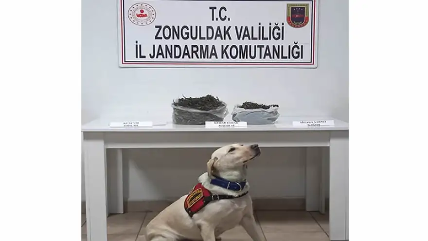 Uyuşturucu operasyonu: 2 Gözaltı