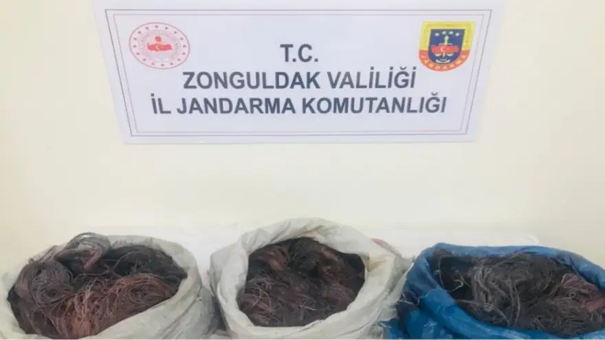 Kablo hırsızları yakalandı