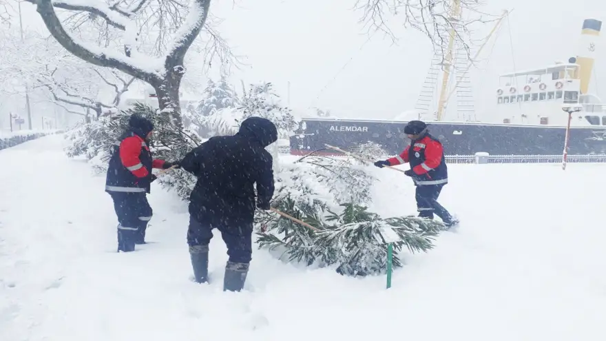 Ağaç Dalları Kar Yükünden Temizleniyor
