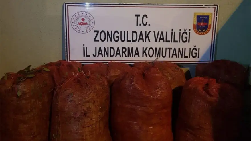100 Kg kaçak defne yaprağı ele geçirildi...