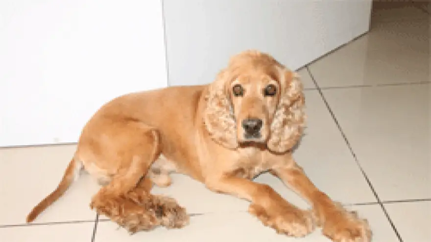 İYİLEŞMEZ DEMİŞLERDİ