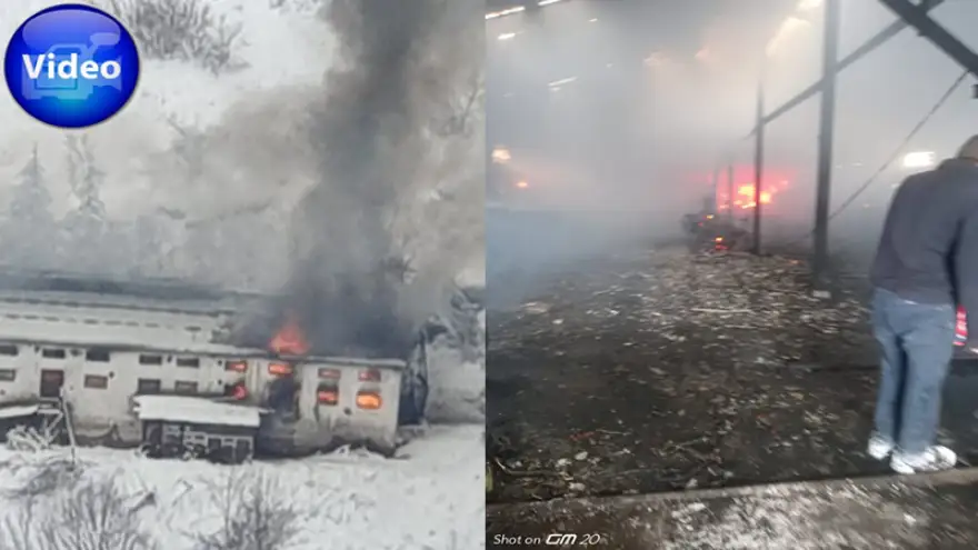 Ereğli'de tavuk çiftliğinde yangın