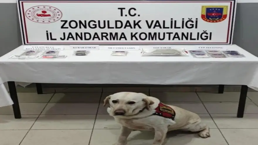 Jandarmadan esrar operasyonu 2 kişi yakalandı