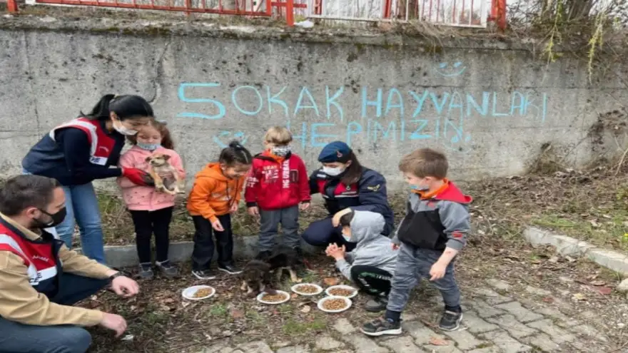 Jandarma sokak hayvanlarını besledi