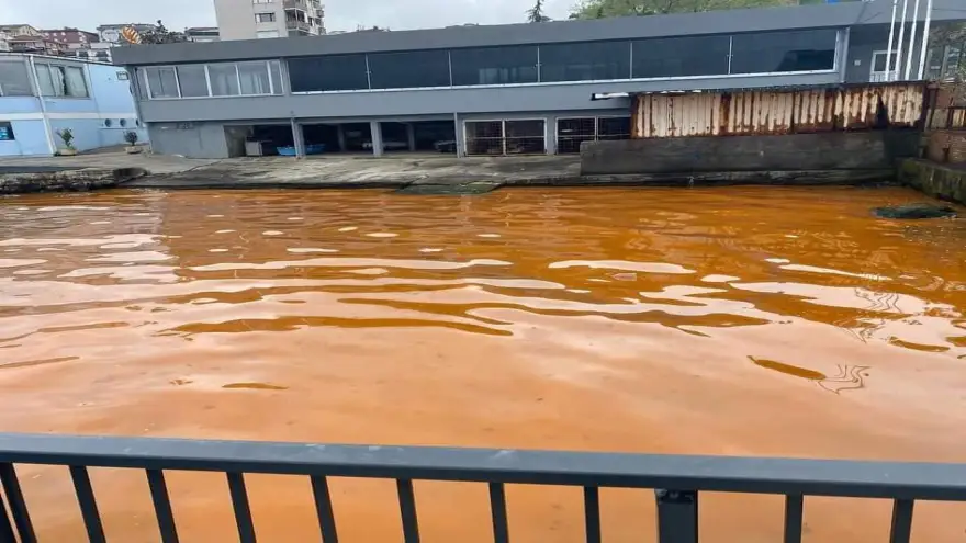 Deniz üstündeki sarı tabakanın sebebi belli oldu
