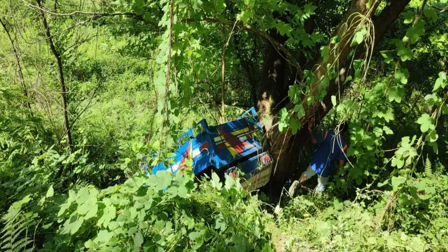 Alaplı'da patpat şarampole uçtu