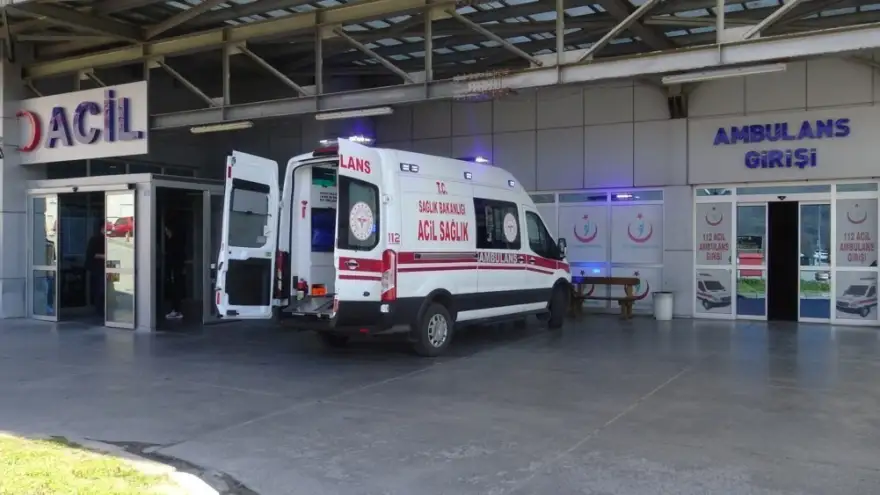 Ağaçtan düşen bir kişi yaralandı