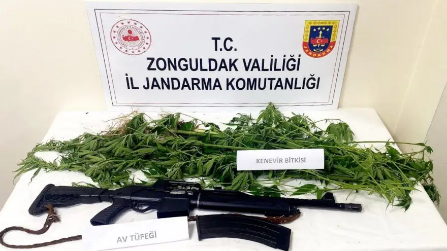 Jandarma kök kenevir, av tüfeği ve uyuşturucu ele geçirdi...