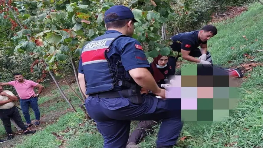 Fındıklık alanda ölü bulundu