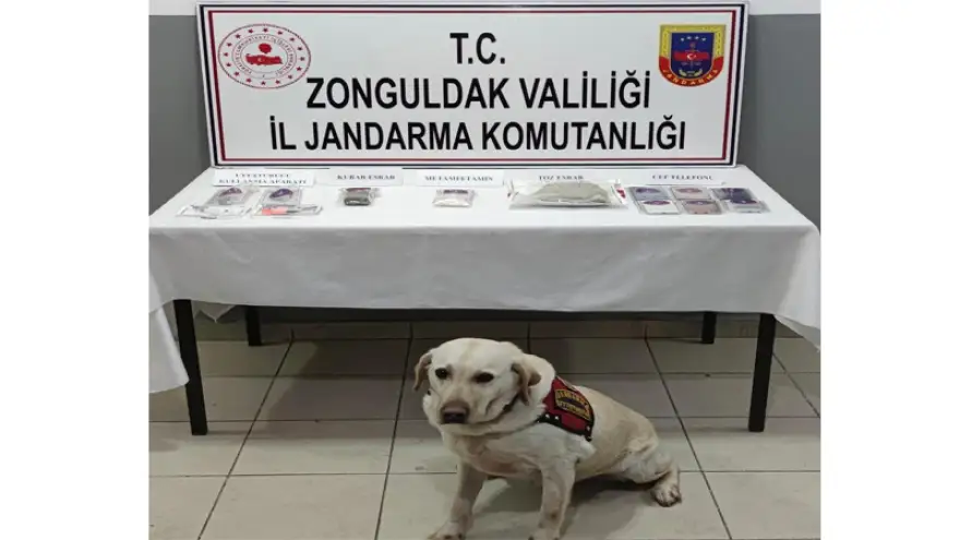 Uyuşturucuyla mücadelede 29 Tutuklama