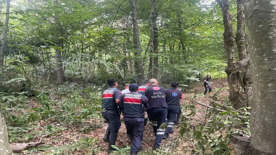 Kestiği ağacın altında kaldı...