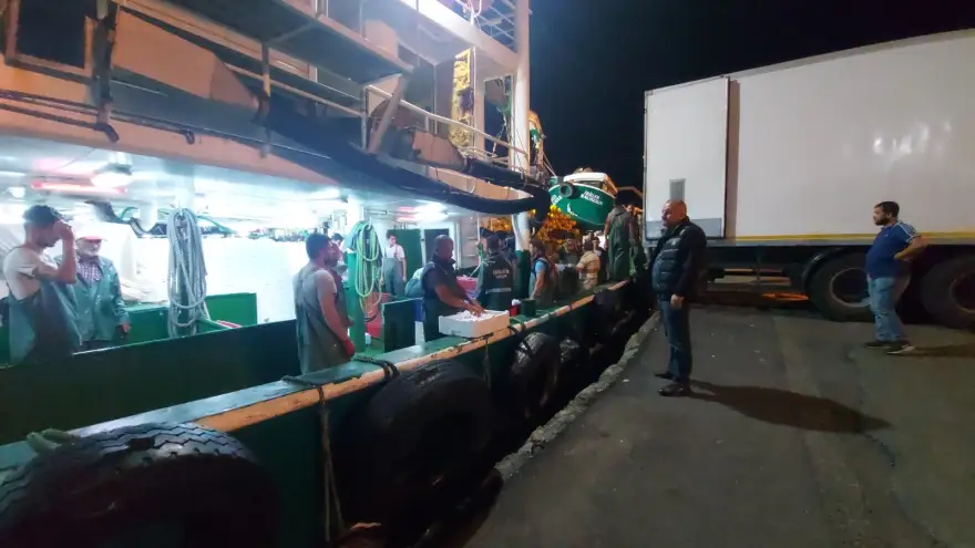 Ereğli açıklarında balık bolluğu...