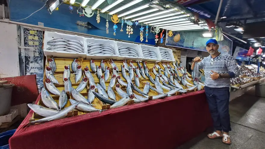 Palamut'un fiyatı düştü..