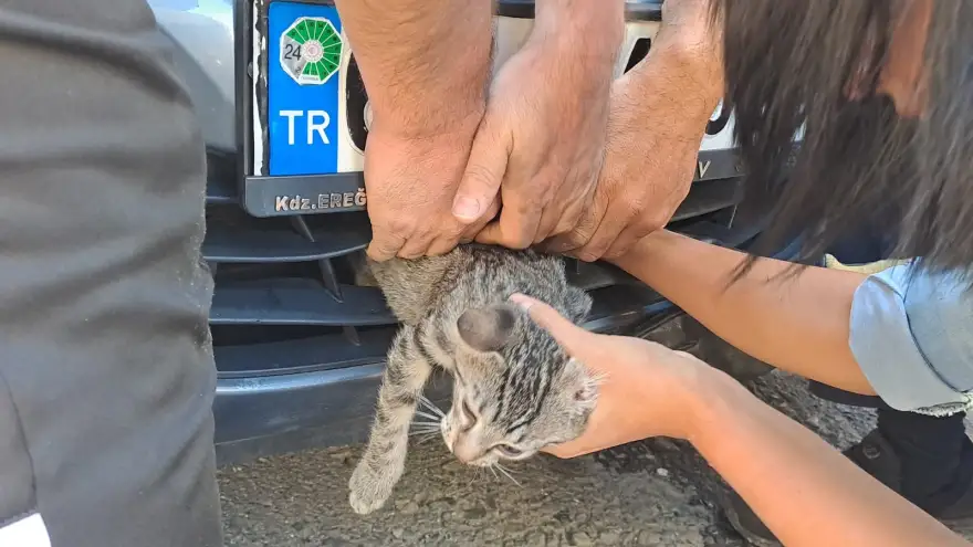 Araba motoruna giren yavru kedi kurtarıldı 