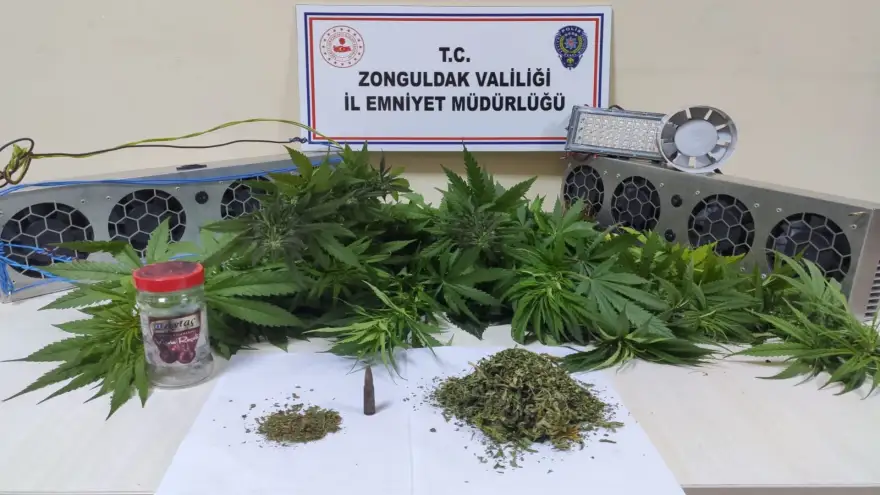 Ereğli, Alaplı, Kozlu ve Kilimli'de Uyuşturucu Operasyonu
