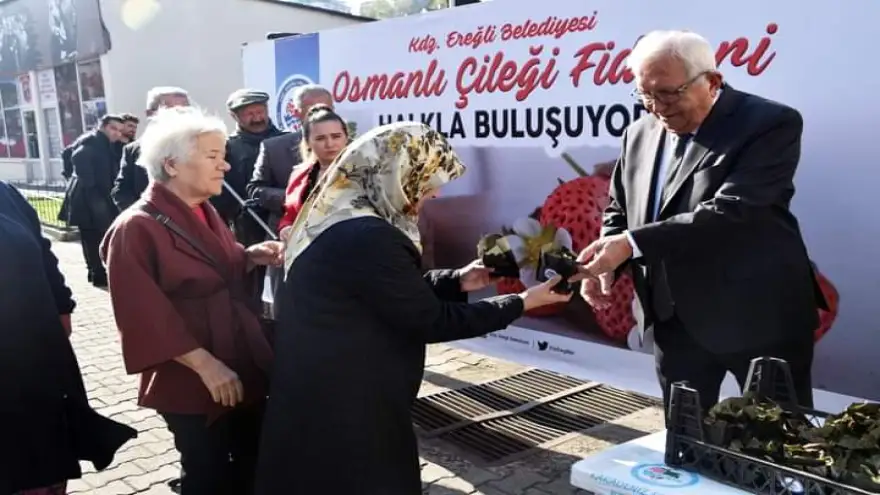 Eregli'de 3 Bin Osmanlı fidesi halkla buluştu..