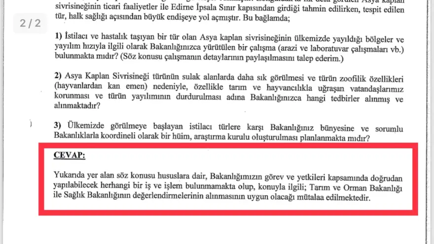 Bakanlıklar topu birbirine attı, ölümcül türün soruları yanıtsız kaldı
