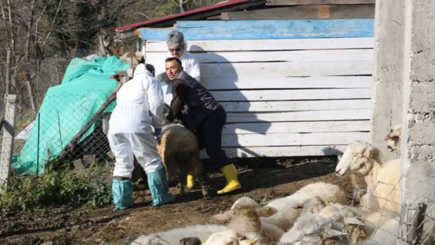 Zonguldak geneli 215 Köy karantiya alındı...