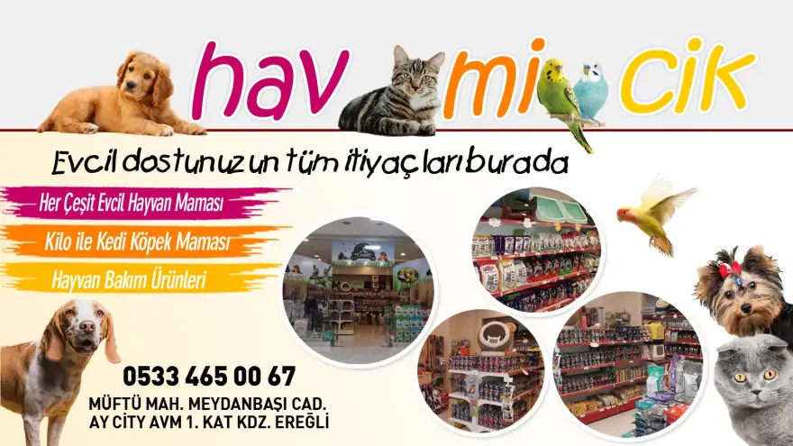 Havmicik Ereğli