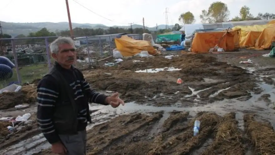 SATICILAR SİNEK VE PİSLİK İÇİNDE KALDIK