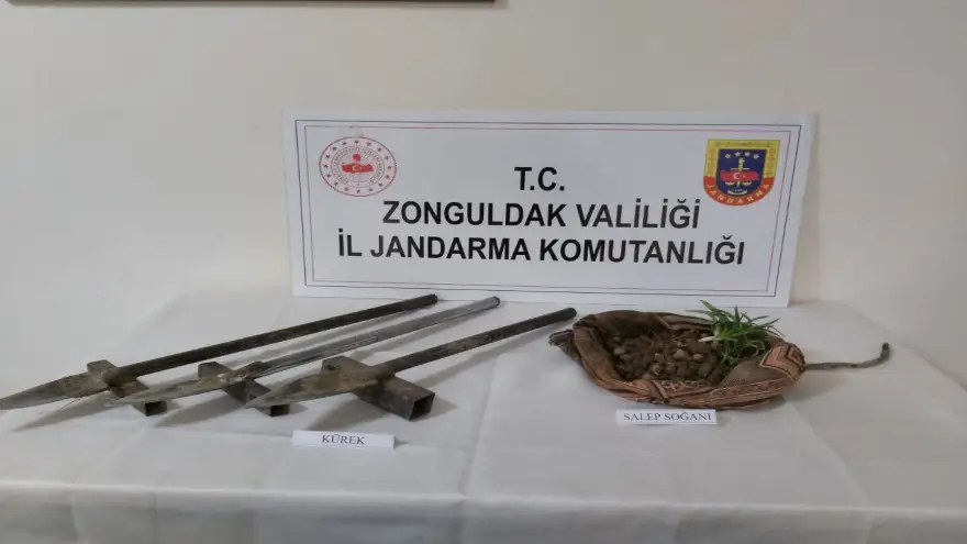 Salep Bitkisi Soğanı toplarken suçüstü yakalandılar..