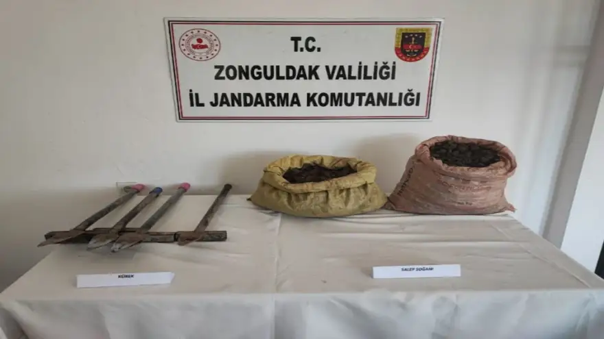 Yasaklı soğanı topladılar