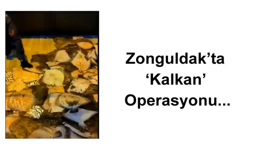 Zonguldak’ta "Kalkan" operasyonu