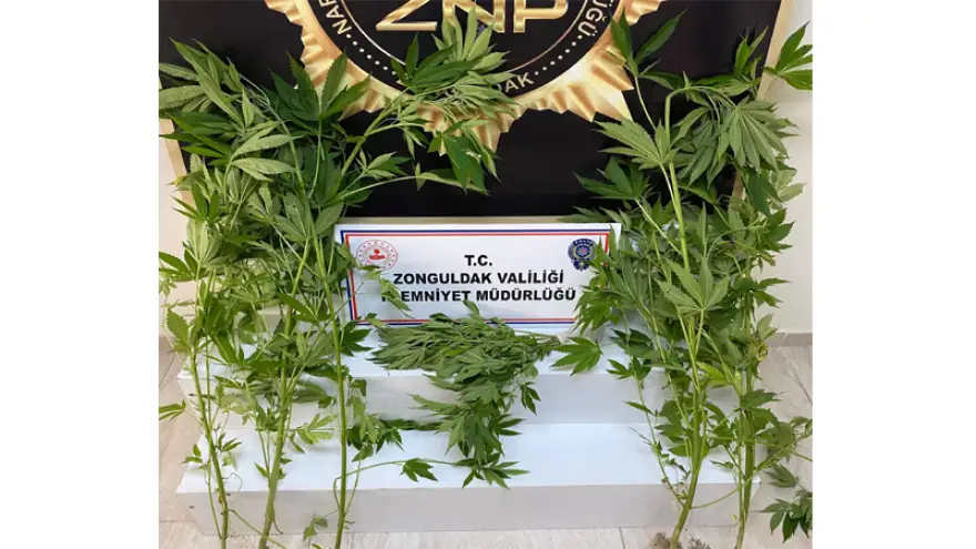 Uyuşturucu operasyonu: 3 Kişi gözaltına alındı...