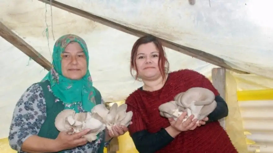 MANTAR ÜRETMEK İÇİN YER İSTİYORLAR