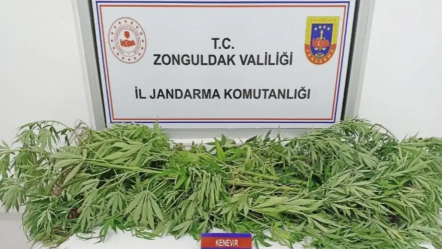 Uyuşturucu operasyonu: 1 Kişi tutuklandı..