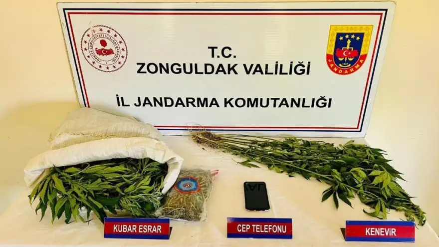 Ereğli'de Jandarma ekiplerince uyuşturucu operasyonu