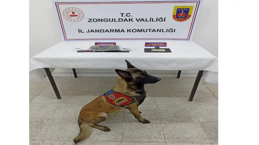 Operasyonda kubar esrar ele geçirildi