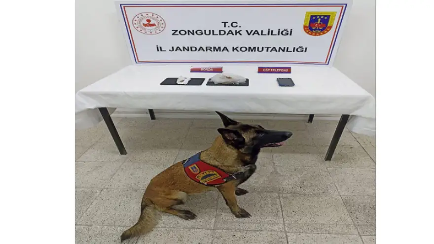 Jandarma 23 gram bonzai yakaladı