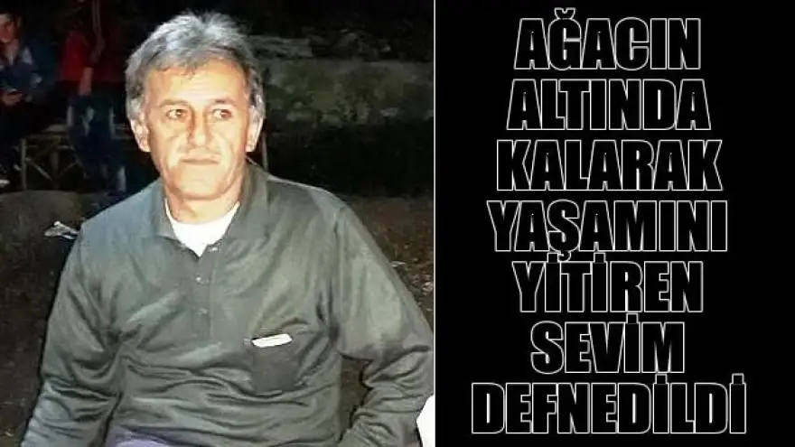 AĞACIN ALTINDA KALARAK YAŞAMINI YİTİRDİ