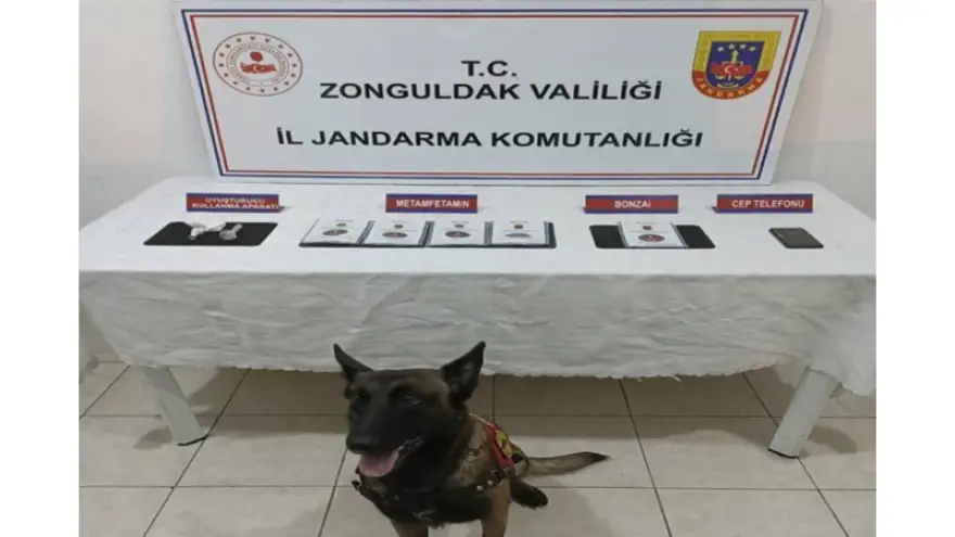 Uyuşturucu Operasyonu: 1 Kişi tutuklandı