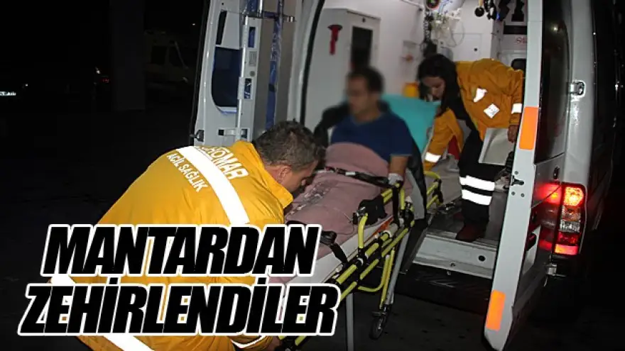 ALAPLI'DA 3 KİŞİ MANTARDAN ZEHİRLENDİ