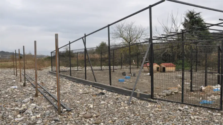 SOKAK HAYVANLARI MERKEZİNDE ÇALIŞMALAR SÜRÜYOR