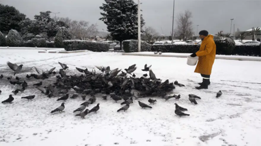 EREĞLİ BELEDİYESİ SOKAK HAYVANLARINI DA UNUTMADI