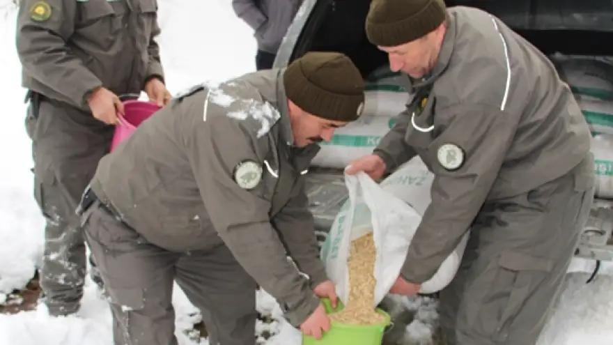 DOĞAYA YEM BIRAKILDI