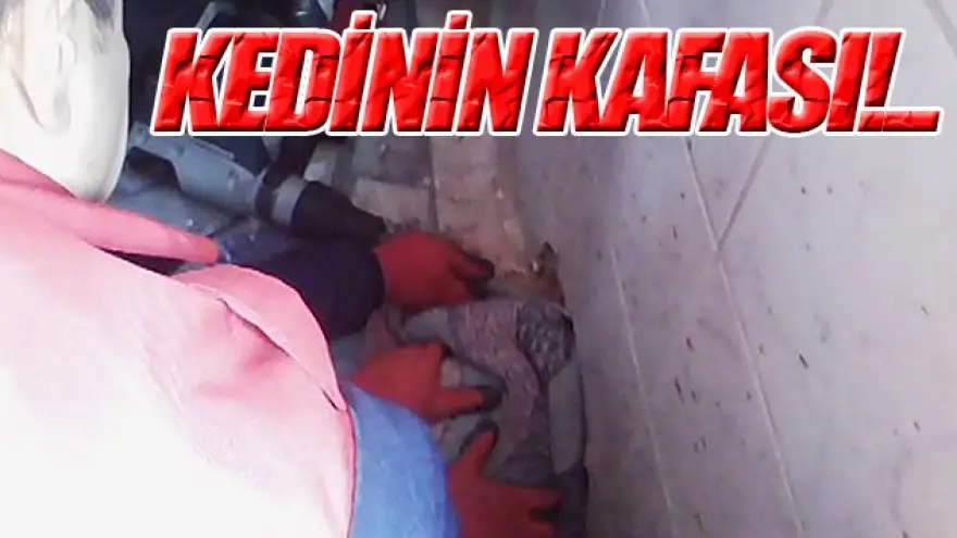KAFASI SIKIŞAN KEDİ,HİLTİ İLE KURTARILDI