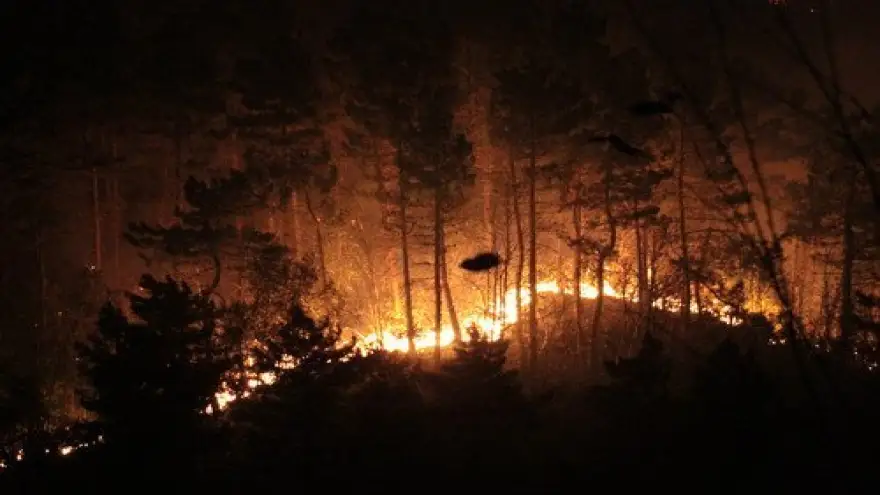 YANGINDA SON DURUM...