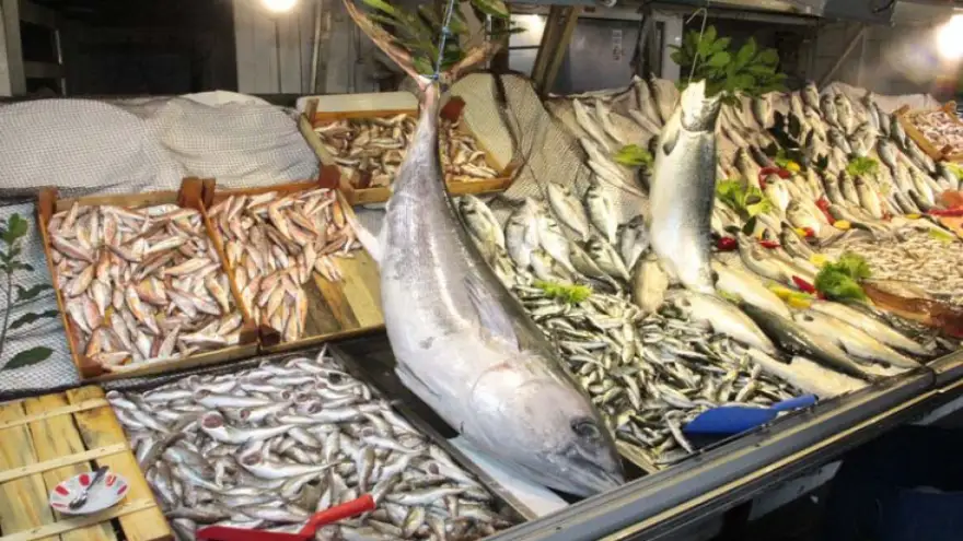 AĞA 40 KİLOLUK TON BALIĞI TAKILDI