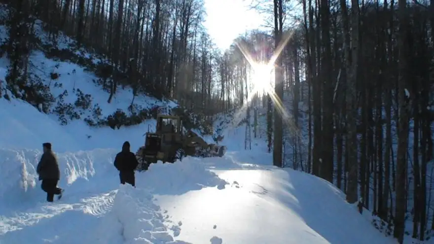 EREĞLİ'DE 48 KÖY YOLU ULAŞIMA KAPALI